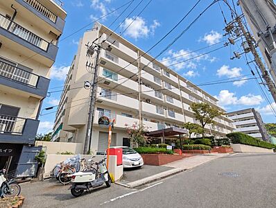 外観 外観