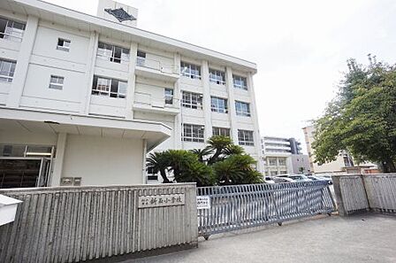 【小学校】松山市立新玉小学校まで577m