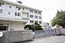周辺：【小学校】松山市立新玉小学校まで577ｍ