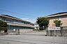 周辺：【小学校】松山市立双葉小学校まで518ｍ