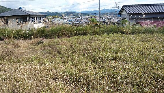 隣の畑です