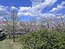 その他：北側の和室からは桜が見えます