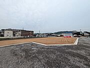 2025年5月26日現在の様子です。