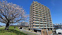 宮崎県宮崎市大工3丁目296-2：物件画像