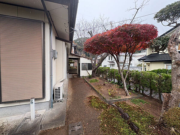を拡大表示