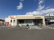 松山生協 堀江店 500m