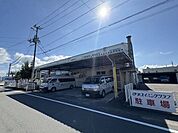 伊予スイミングクラブ 521m