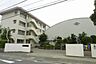 周辺：松山市立石井小学校 1283m