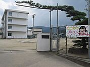 松山市立堀江小学校 1523m