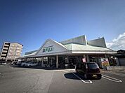 フジ 松末店 555m