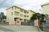 周辺：松山市立桑原小学校 668m