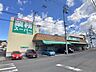 周辺：業務スーパー　道後店 1008m