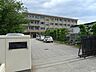 周辺：松山市立三津浜中学校 537m