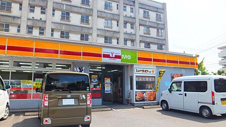 Yショップ MG大空団地店 517m