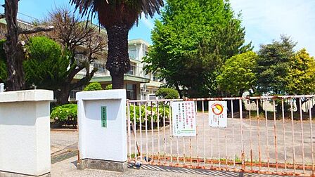 大分市立長浜小学校 463m