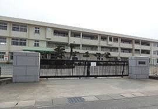 Image 15
