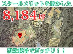 東村宮城 農業用地