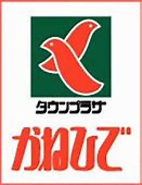 を拡大表示