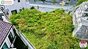 現地写真(2025年7月撮影)