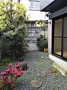 多様な植栽のある敷地内空間