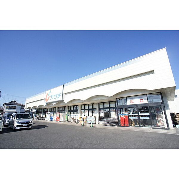 画像27:ドラックストア「カワチ薬品渡里店まで1463ｍ」充実の品揃え