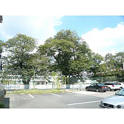 小学校「水戸市立石川小学校まで578ｍ」水戸市立石川小学校