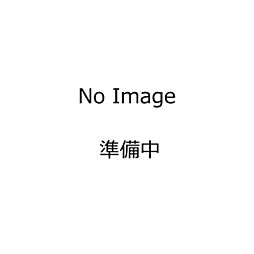 水戸市堀町アパートB棟新築工事