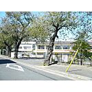 小学校「水戸市立五軒小学校まで1245ｍ」