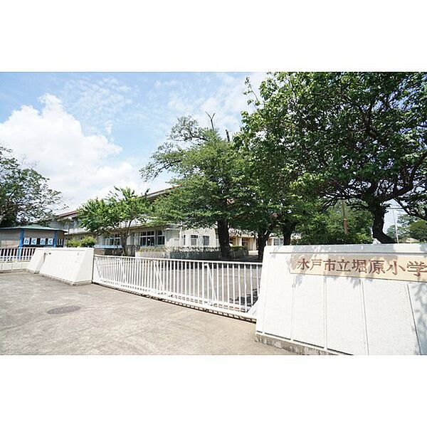 apartment 茨城県水戸市新原1丁目
新原の賃貸情報を見る
物件地図