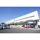 ドラックストア「カワチ薬品渡里店まで1220ｍ」充実の品揃え