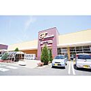 スーパー「ヨークベニマル赤塚店まで1480ｍ」営業時間/9