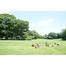 公園「双葉台公園まで750ｍ」