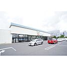 ドラックストア「カワチ薬品新原店まで729ｍ」営業時間 10:00～20:00.