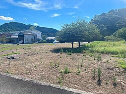 静岡県静岡市清水区宍原1145-1、1145-5、他