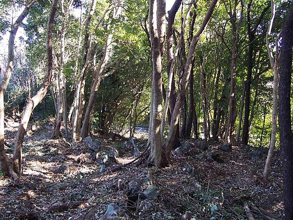 その他を拡大表示