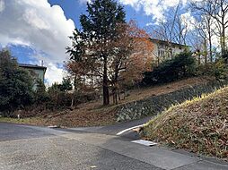 伊豆箱根鉄道駿豆線 牧之郷駅 3.4km