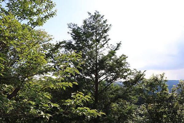 を拡大表示