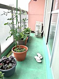 バルコニーの画像