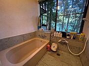 温泉付きの浴室　大きな窓から緑の木々を望み、温泉に浸かりながら森林浴気分で癒されます