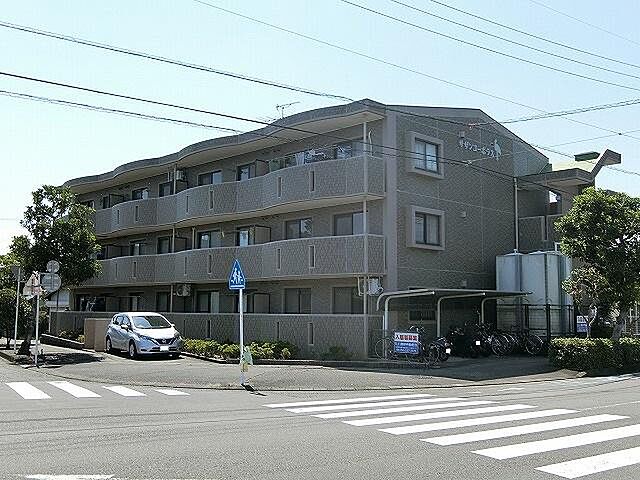 3 / 6