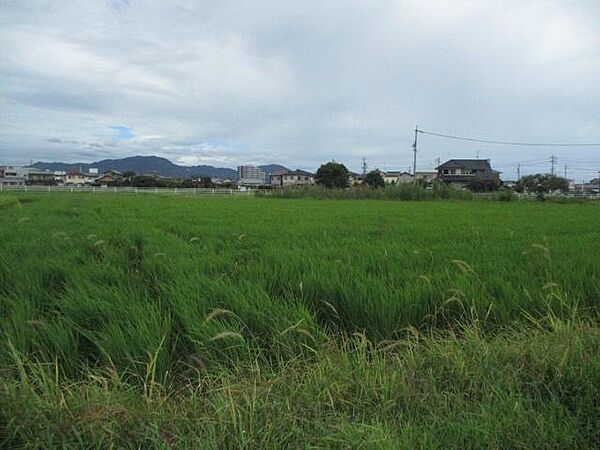 を拡大表示