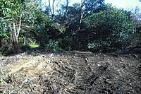 静岡県伊東市富戸大室高原：物件画像