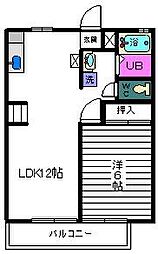 アンプル羽鳥C 1LDKの間取図画像