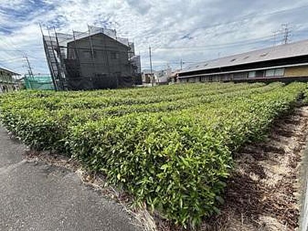 その他を拡大表示