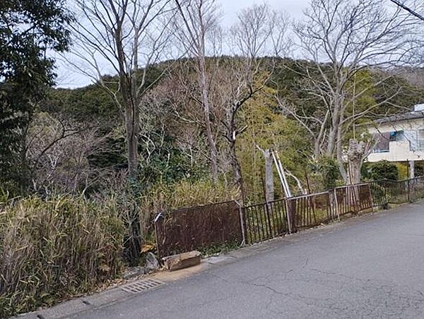 を拡大表示
