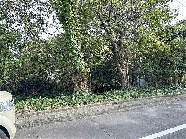 を拡大表示
