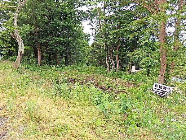 その他を拡大表示