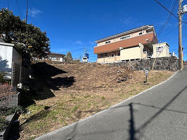 その他を拡大表示