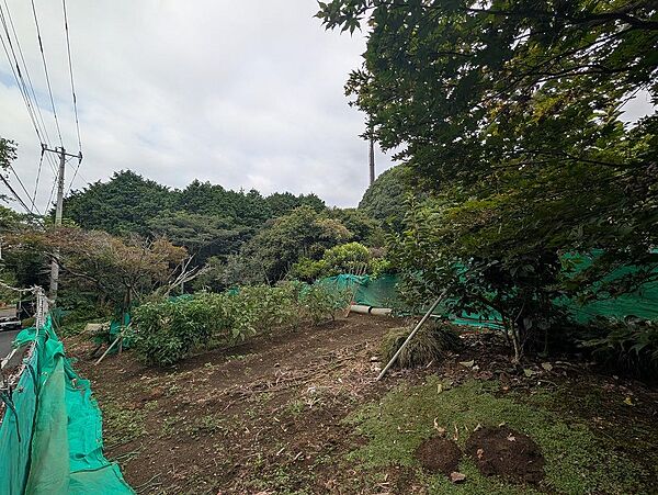 その他を拡大表示