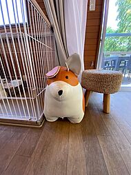 室内の画像